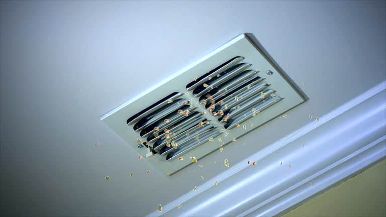 Affordable HVAC Duct Cleaning in CO