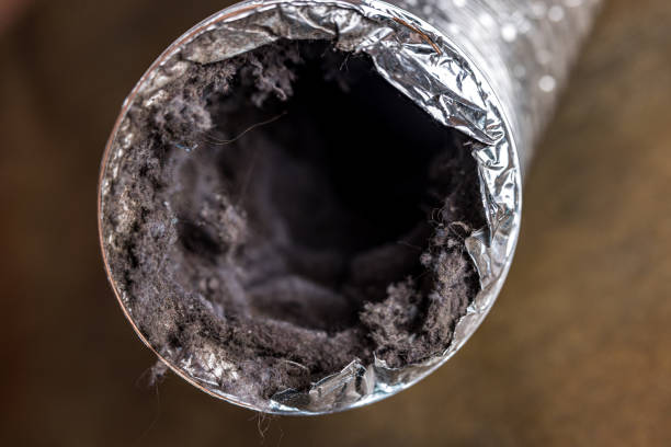 Trusted CO Airduct Cleaning Experts