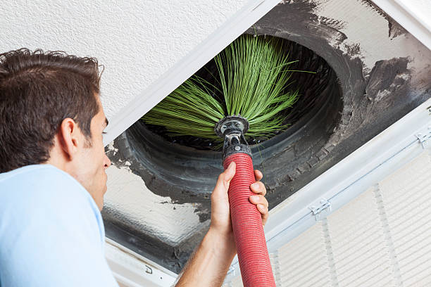 Best Local Air Duct Cleaning Services  in Fort Llins, CO